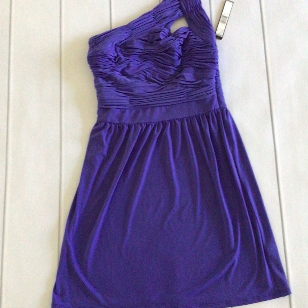 NWT Tahari Arthur S. Levine Dress
